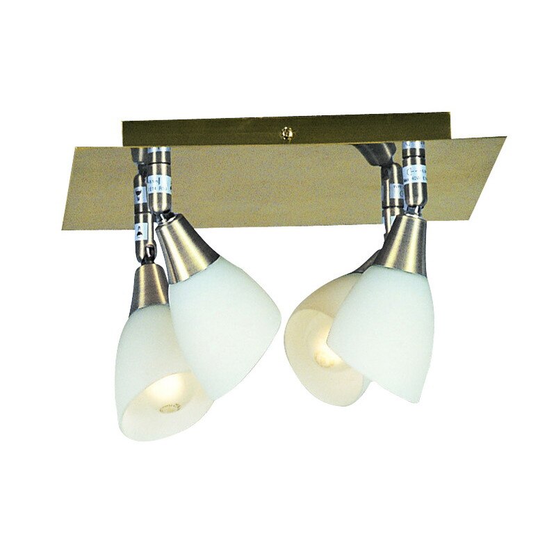 Plafoniera GLOBO Frank 5451-4, 30/30cm, 4x40W/E14