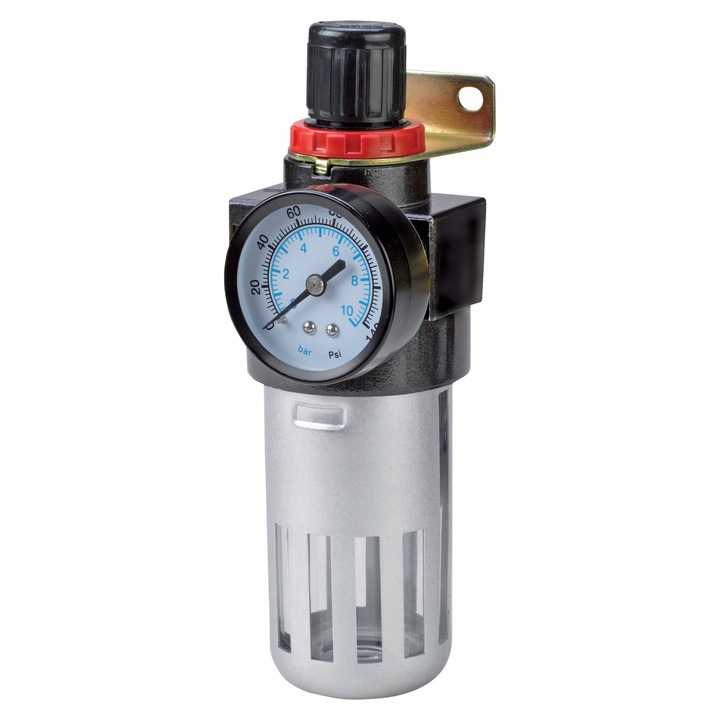 Reductor cu manometru si filtru Proline 1/4"