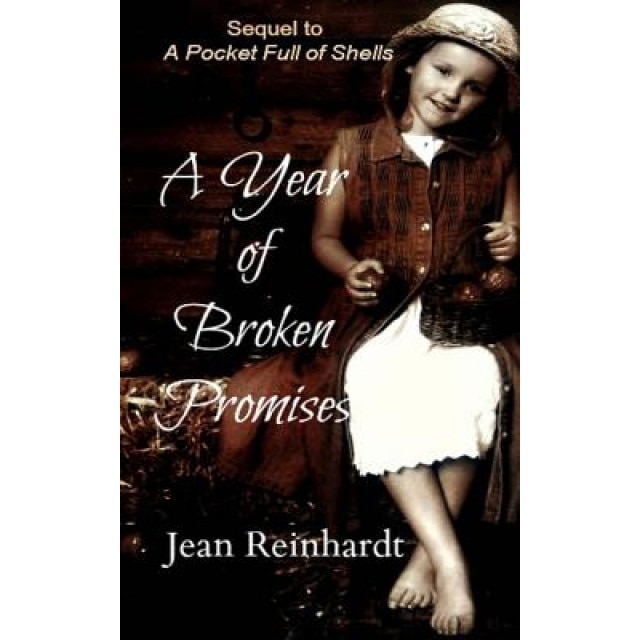 A Year of Broken Promises, Jean Reinhardt (Author)