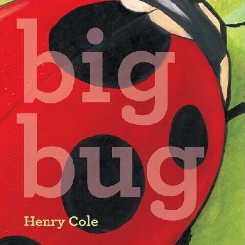 Big Bug, Henry Cole (Author)