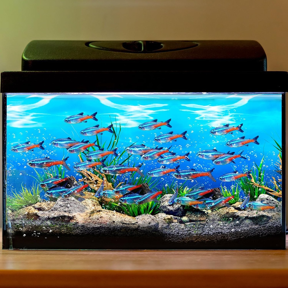 Fundal Folie decor acvariu, Lurindu, Tapet fundal acvariu, 30 x 62cm ...