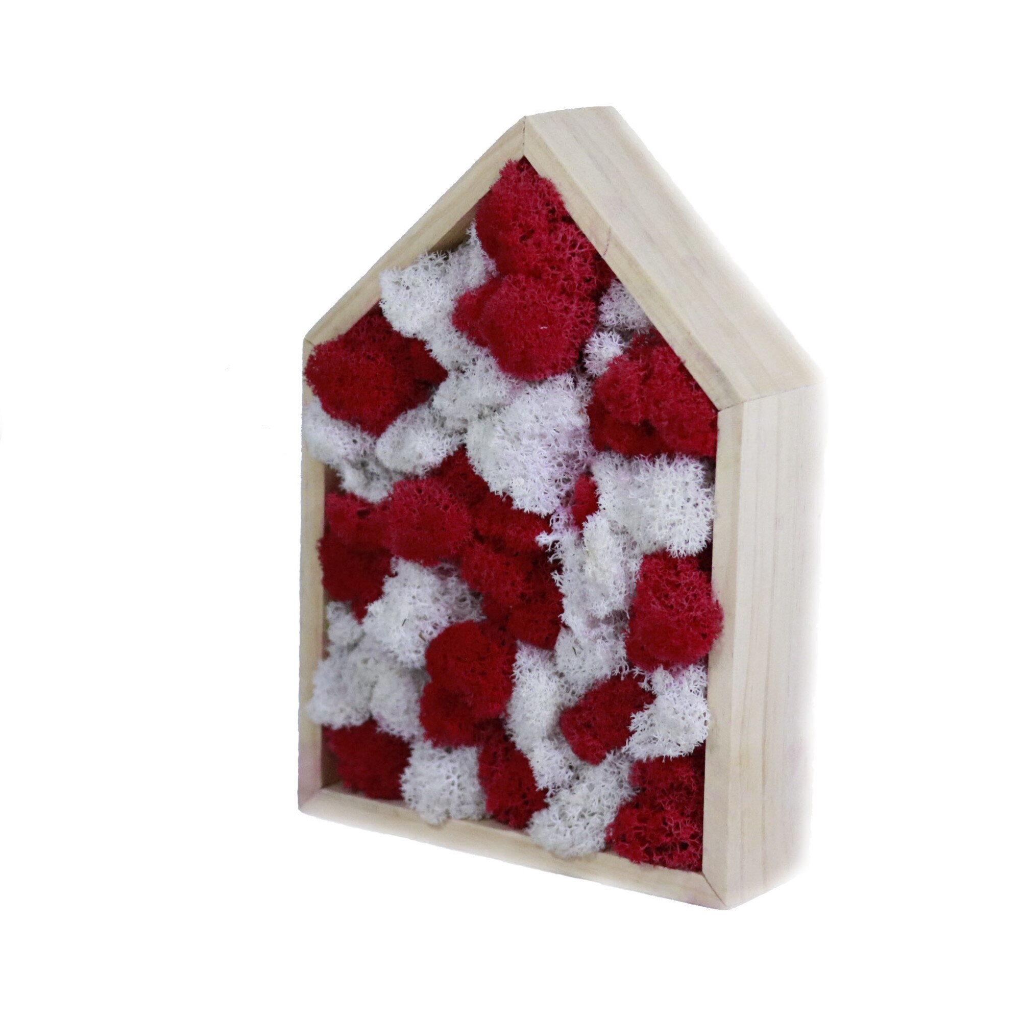 Tablou licheni decorativi, abstract, 22 x 16 cm