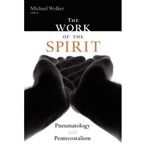 The Work of the Spirit: Pneumatology and Pentecostalism, Michael Welker (Editor)