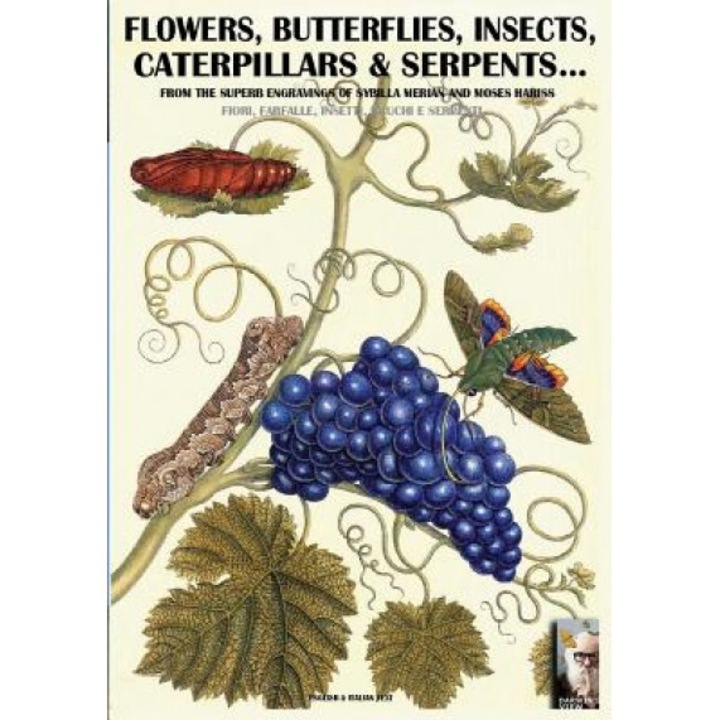 Flowers, Butterflies, Insects, Caterpillars & Serpents...: From Sybilla Merian & Moses Hariss XVII-XVIII Centuries Engravings, Luca Stefano Cristini (Author)