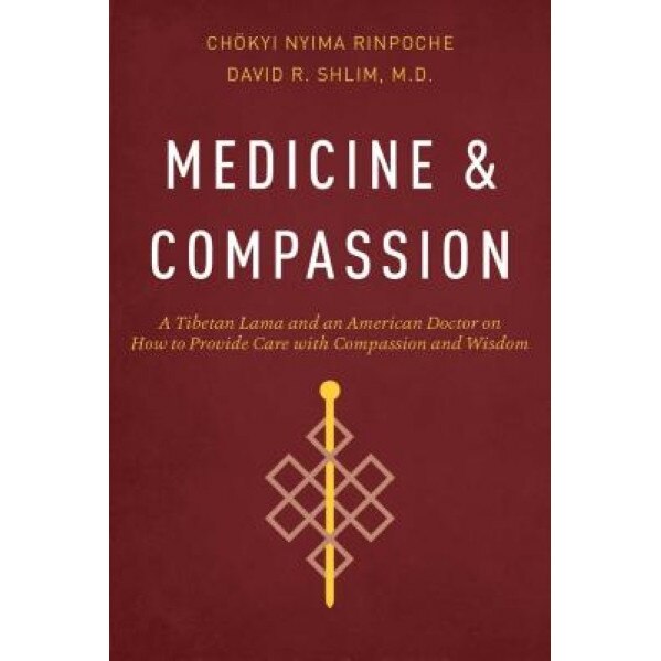 Medicine and Compassion: A Tibetan Lama and an American Doctor on How to Provide Care with Compassion and Wisdom - Chokyi Nyima Rinpoche (Author)