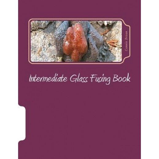 Intermediate Glass Fusing Book: Intermediate Glass Fusing Projects, Connie M. Brown (Author)
