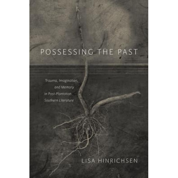 Possessing the Past: Trauma, Imagination, and Memory in Post-Plantation Southern Literature, Lisa Hinrichsen (Author)