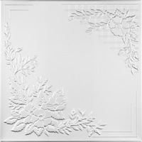tavan decorativ c2068 culoare alb 50x50 cm grosime 03 cm 10 pachete suprafata acoperita 20 mp imagen 36_0_
0