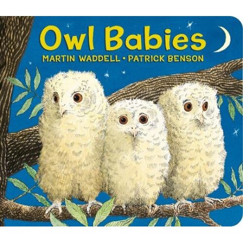 Owl Babies, Martin Waddell (Author)