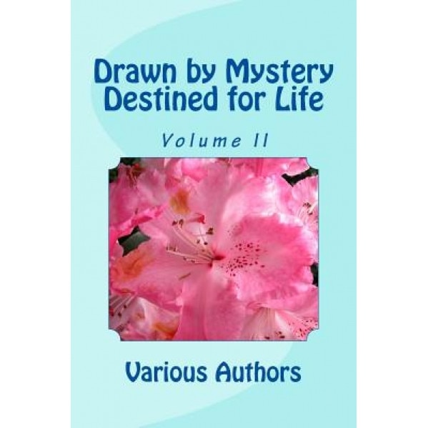 Drawn by Mystery, Destined for Life: More Reflections on the Nairobi Chapter Document, Br David Gibson (Author)