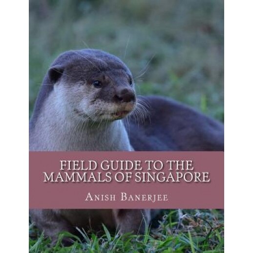 Field Guide to the Mammals of Singapore, Anish Banerjee (Author)