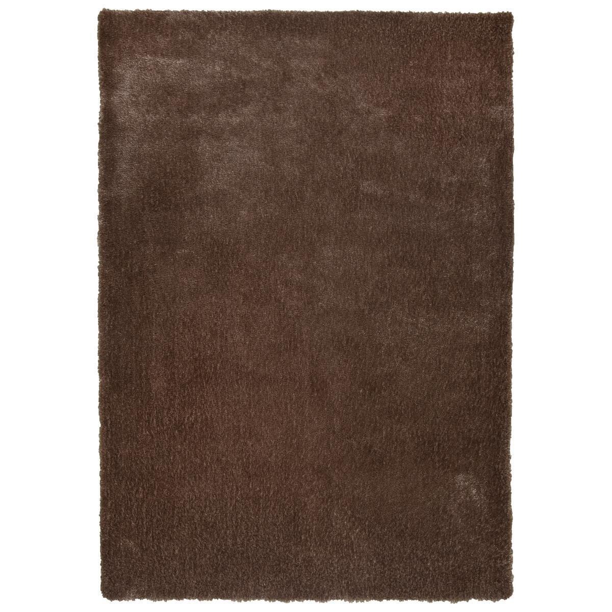 Covor Fir Lung Polipropilena Theko C-1010803 70x140