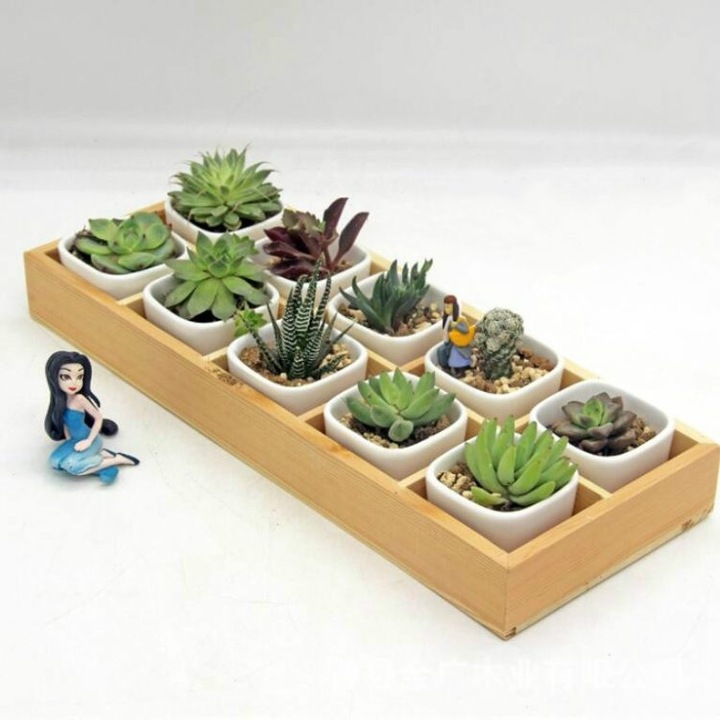 Cutie depozitare lemn pentru plante suculente, 10 celule, culoare lemn, 5.3x5.3x4.2cm