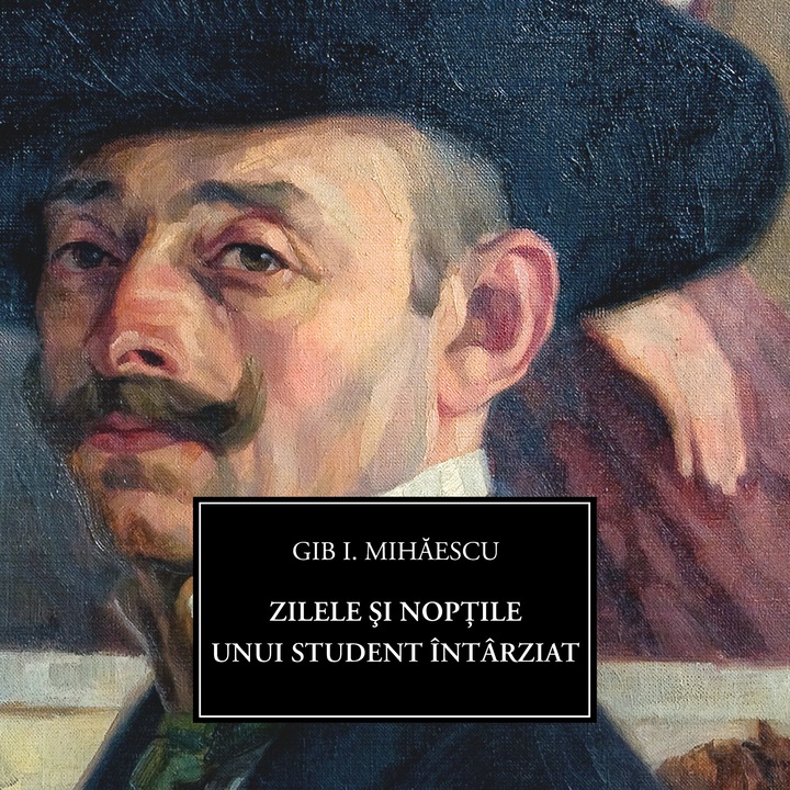 Zilele si noptile unui student intarziat (audiobook)