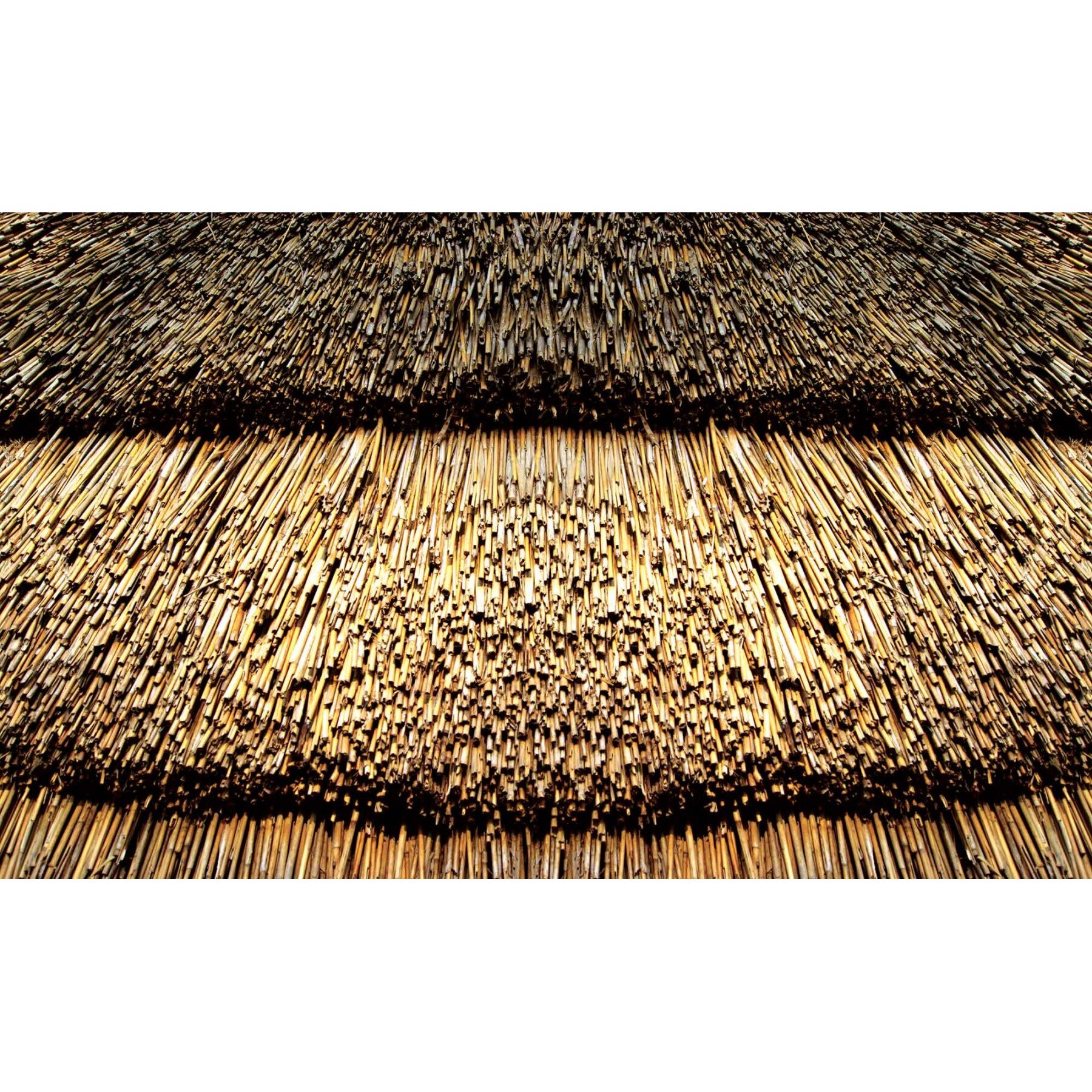 Fototapet DEGRETS 83612 Paie 3D 184x254cm