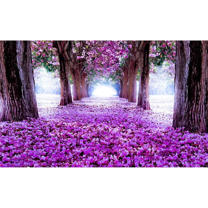 Фототапет DEGRETS 83637 Лилава пътека от цветя 3D, 184x254см