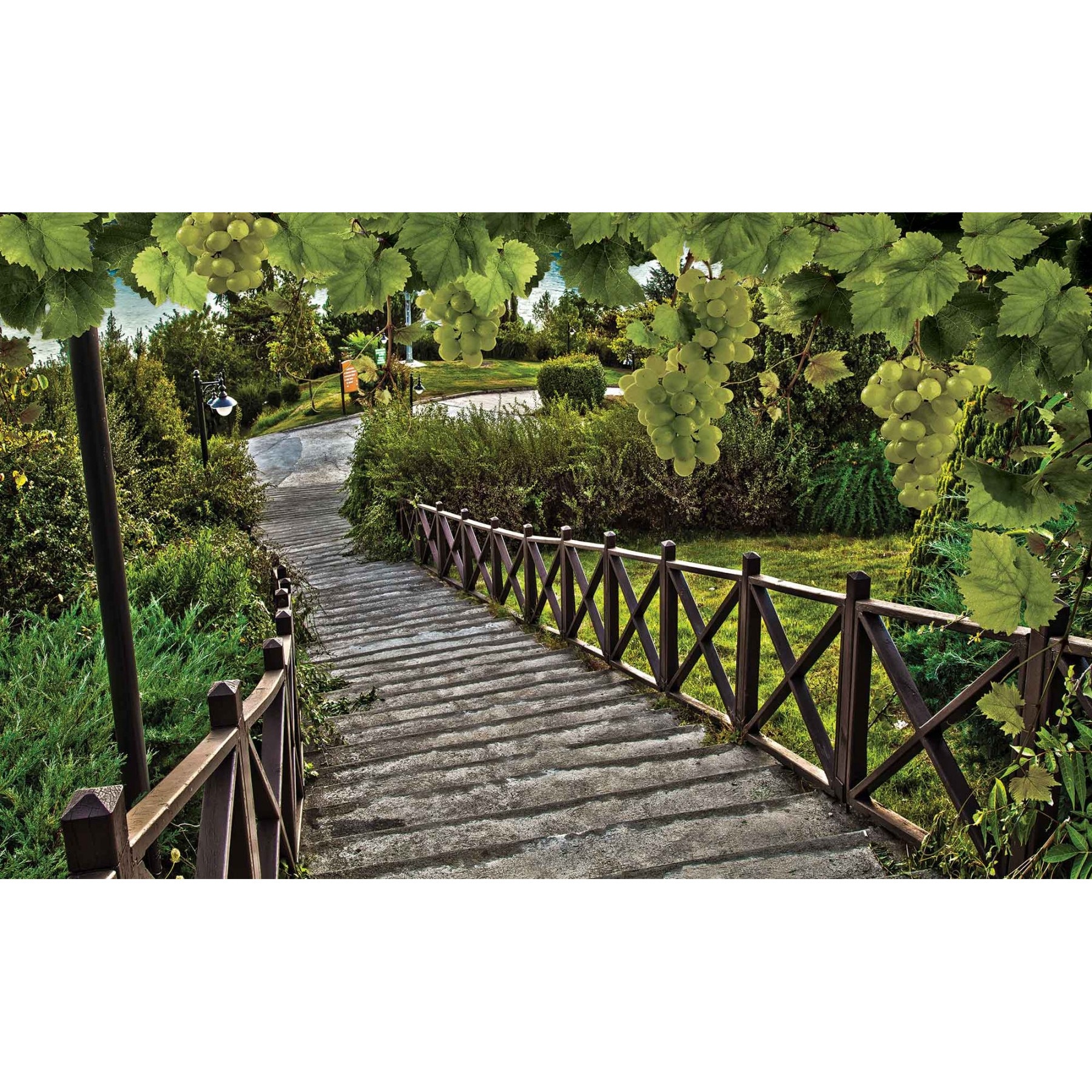 Fototapet DEGRETS 83638 Drum vita de vie 3D 184x254cm