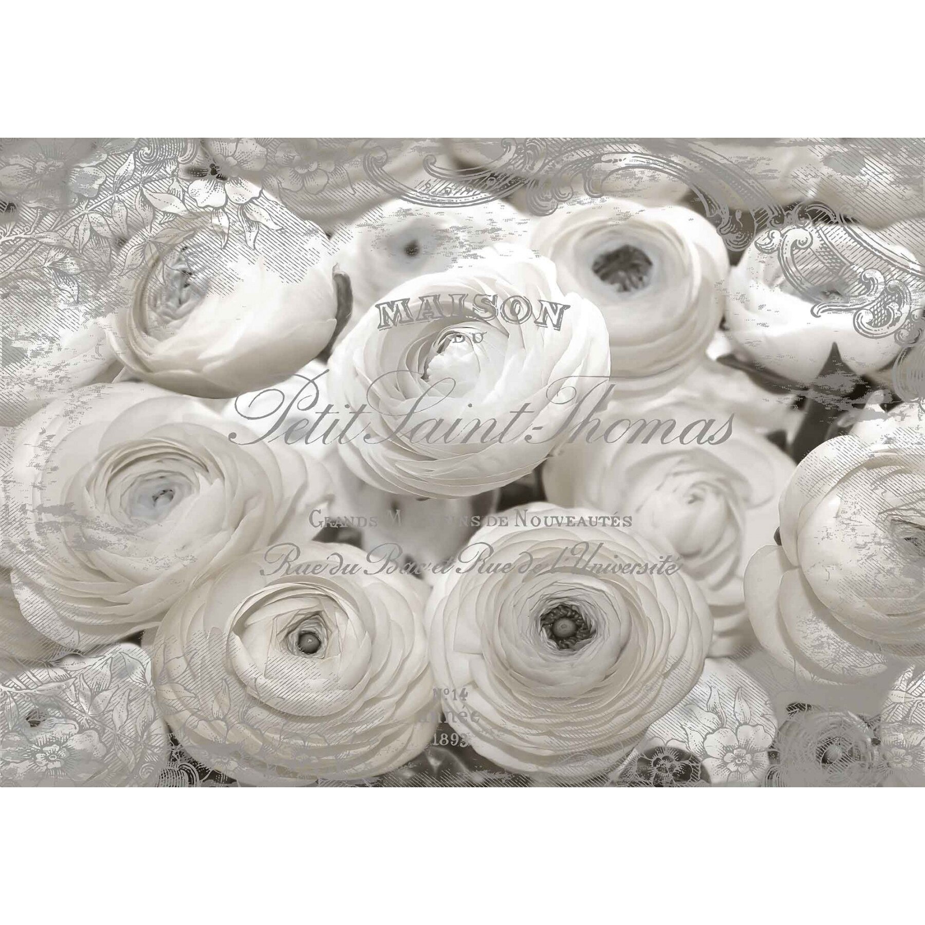 Fototapet DEGRETS 83636 Trandafiri rosii - Vechi 3D 184x254cm