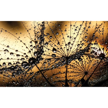 Fototapet DEGRETS 83671 Papadie 2 3D 184x254cm Fototapet DEGRETS 83671 Papadie 2 3D 184x254cm