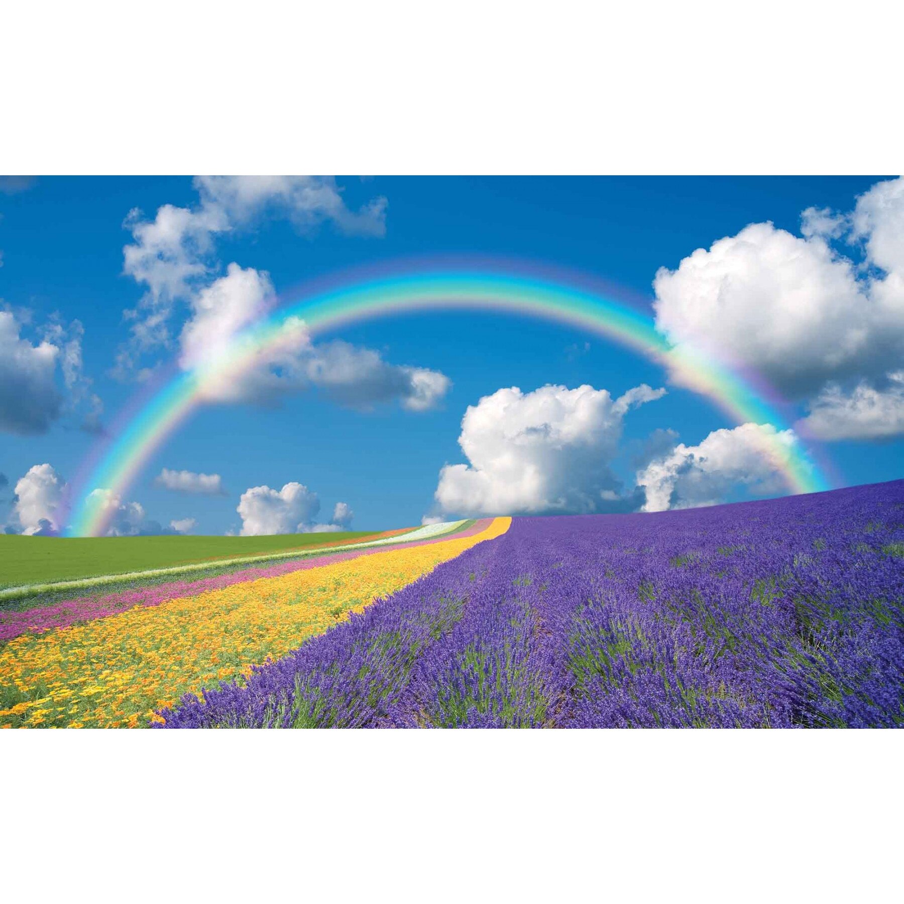 Fototapet DEGRETS 83682 Scena florala 184x254cm