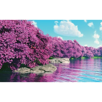 Fototapet DEGRETS 83704 Magie violet 184x254cm Fototapet DEGRETS 83704 Magie violet 184x254cm