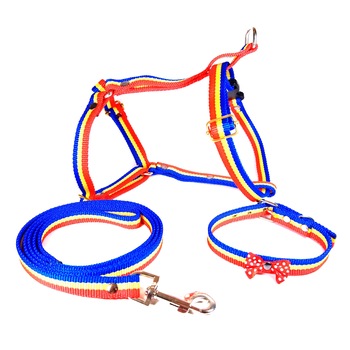 Set Zgarda,Lesa,Ham Tricolor 15 mm latime Set Zgarda,Lesa,Ham Tricolor 15 mm latime