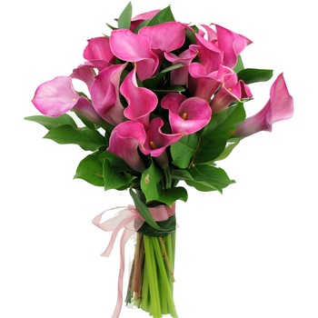 Buchet de flori, Floraria Amazon, 19 calle, roz Buchet de flori, Floraria Amazon, 19 calle, roz