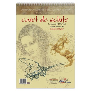 Acuarele, pensule si blocuri de desen