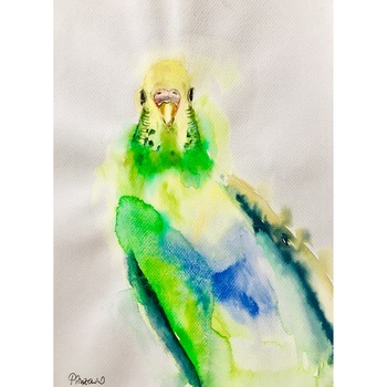 Tablou acuarela Papagal- tablou pictat manual Oana Pinzariu, dimensiune 21 * 28 cm Tablou acuarela Papagal- tablou pictat manual Oana Pinzariu, dimensiune 21 * 28 cm