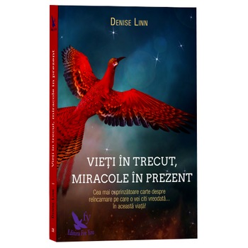 Vieti In Trecut, Miracole In Prezent - Denise Linn Vieti In Trecut, Miracole In Prezent - Denise Linn