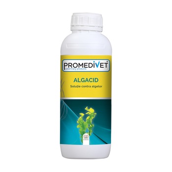 Solutie contra algelor Algacid 1 L Solutie contra algelor Algacid 1 L