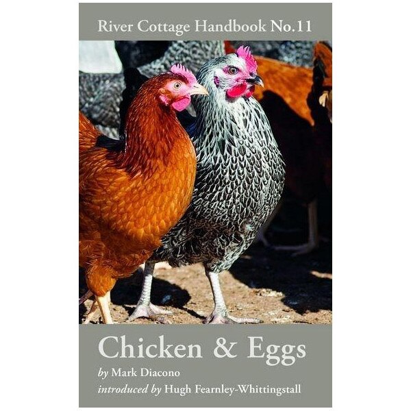 Chicken & Eggs: River Cottage Handbook No.11 - Mark Diacono