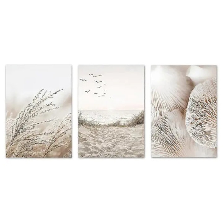 Set 3 postere boho plaja iarba pampas, canvas, 40x60cm