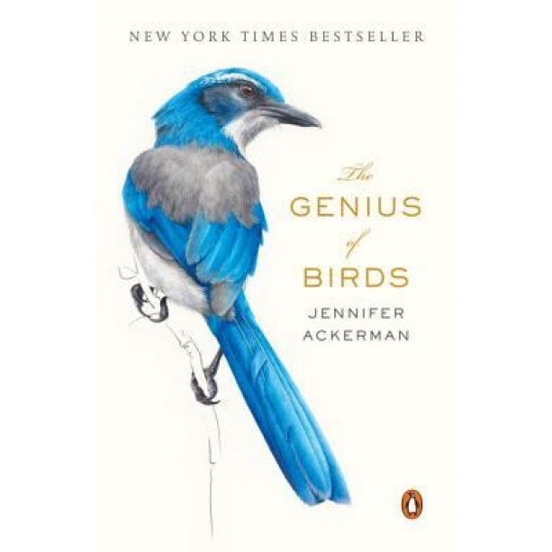 The Genius of Birds, Jennifer Ackerman (Author)