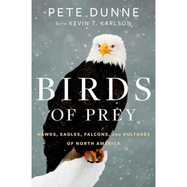 Birds of Prey: Hawks, Eagles, Falcons, and Vultures of North America, Pete Dunne (Author)