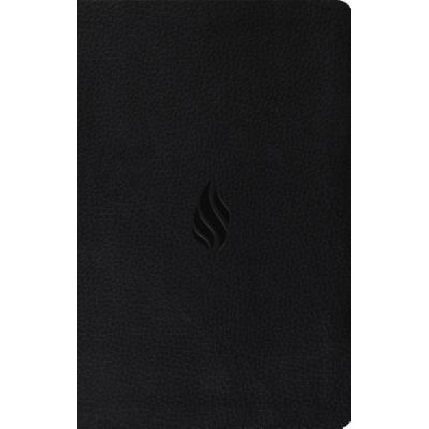 Premium Gift Bible-ESV-Flame Design, Crossway Bibles (Manufactured by)