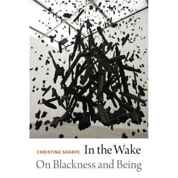 In the Wake: On Blackness and Being, Christina Sharpe (Author)