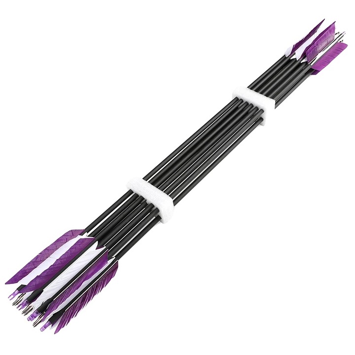 Sageti din carbon 8785371764059, spine 500, varf 100 gr, nock incastrat, pene turkey 4 inch, lungime totala 80,3 cm (tija 76,2 cm), mov, set 12 buc.