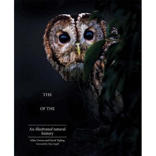 The Enigma of the Owl: An Illustrated Natural History, Mike Unwin (Author)