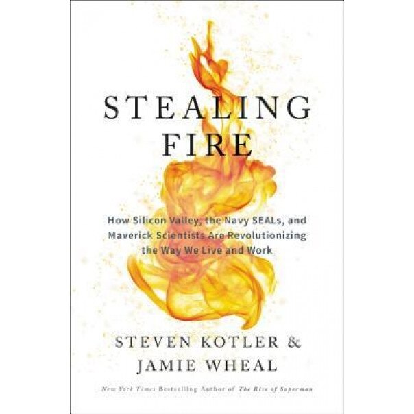 Stealing Fire: How Silicon Valley, the Navy Seals, and Maverick Scientists Are Revolutionizing the Way We Live and Work, Steven Kotler (Author)