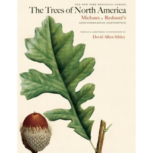 The Trees of North America: Michaux and Redoute's American Masterpiece, David Allen Sibley (Author)