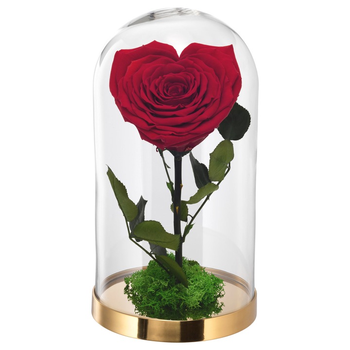 Trandafir criogenat Cupidon, Trandafiri de Poveste, 10 cm