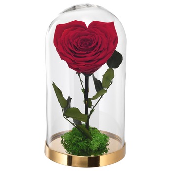 Trandafir criogenat Cupidon, Trandafiri de Poveste, 10 cm Trandafir criogenat Cupidon, Trandafiri de Poveste, 10 cm