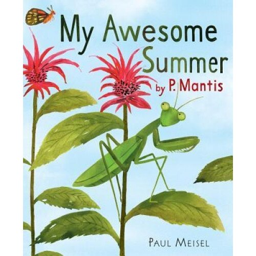 My Awesome Summer by P. Mantis, Paul Meisel (Author)