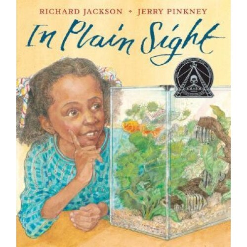In Plain Sight: A Game, Richard Jackson (Author)