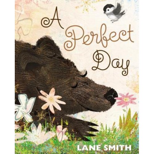 A Perfect Day, Lane Smith (Author)