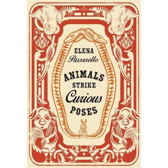 Animals Strike Curious Poses, Elena Passarello (Author)