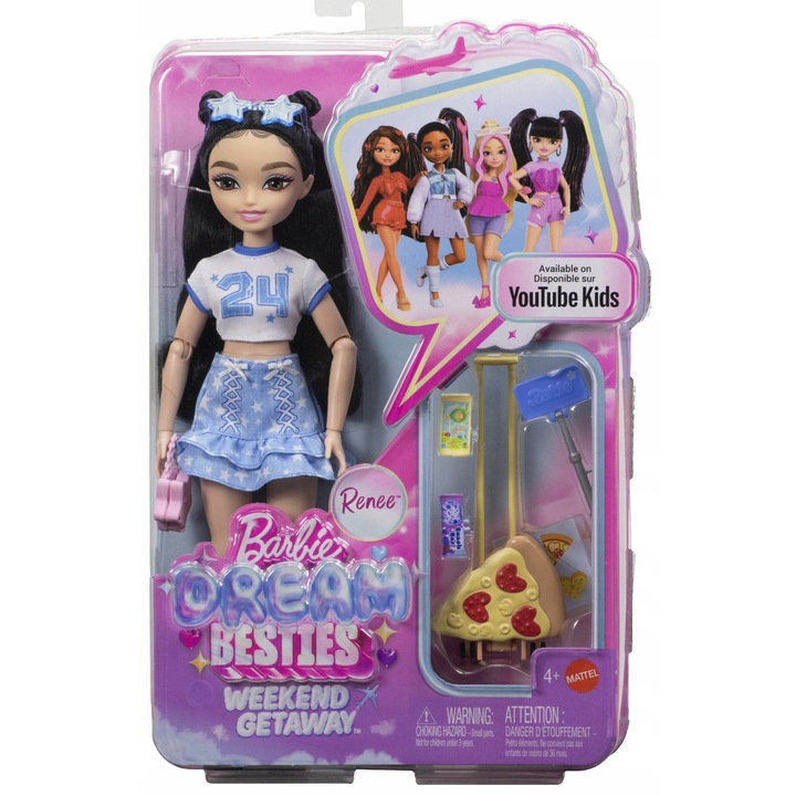 Papusa Barbie Dream Besties Mattel Renee cu accesorii