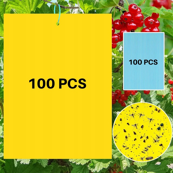 Комплект от 100 жълти лепящи капани за плодови мушици 20x10cm
