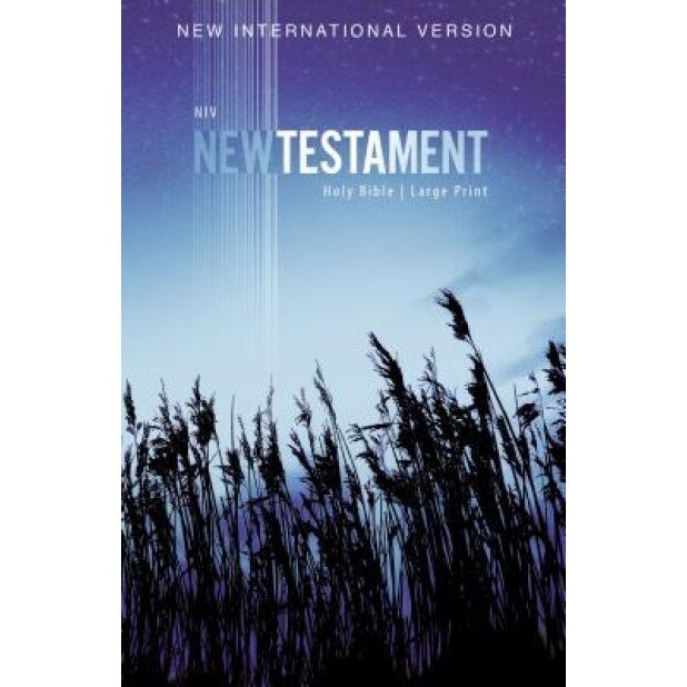 NIV, Outreach New Testament, Large Print, Paperback, Zondervan (Author)
